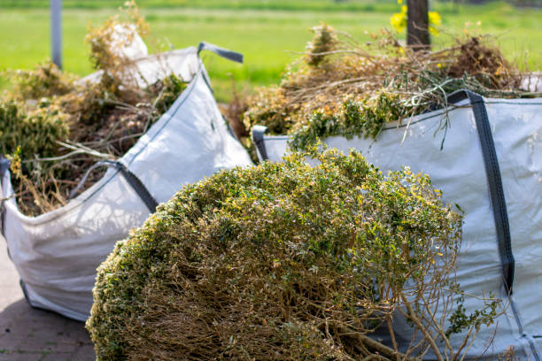 Best Trash Removal Near Me  in Sun Village, CA